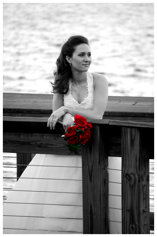 Wedding Photography - Charleston, SC